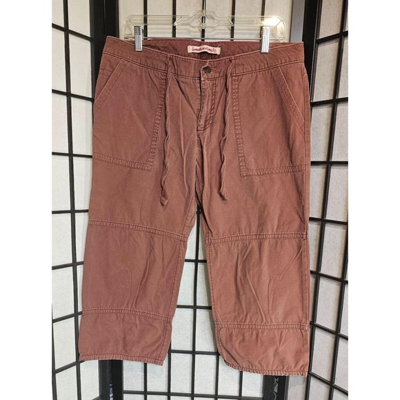 AMERICAN EAGLE Womens Wide Leg‎ Capri Size 10 Medium Brown Drawstring Pants - Picture 2 of 7